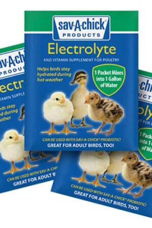 A-Chick Electrolyte